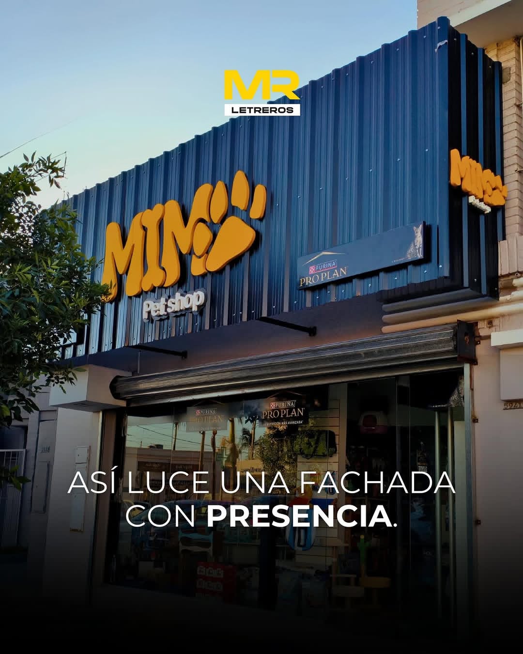 Mimo Pet Shop — trabajo destacado