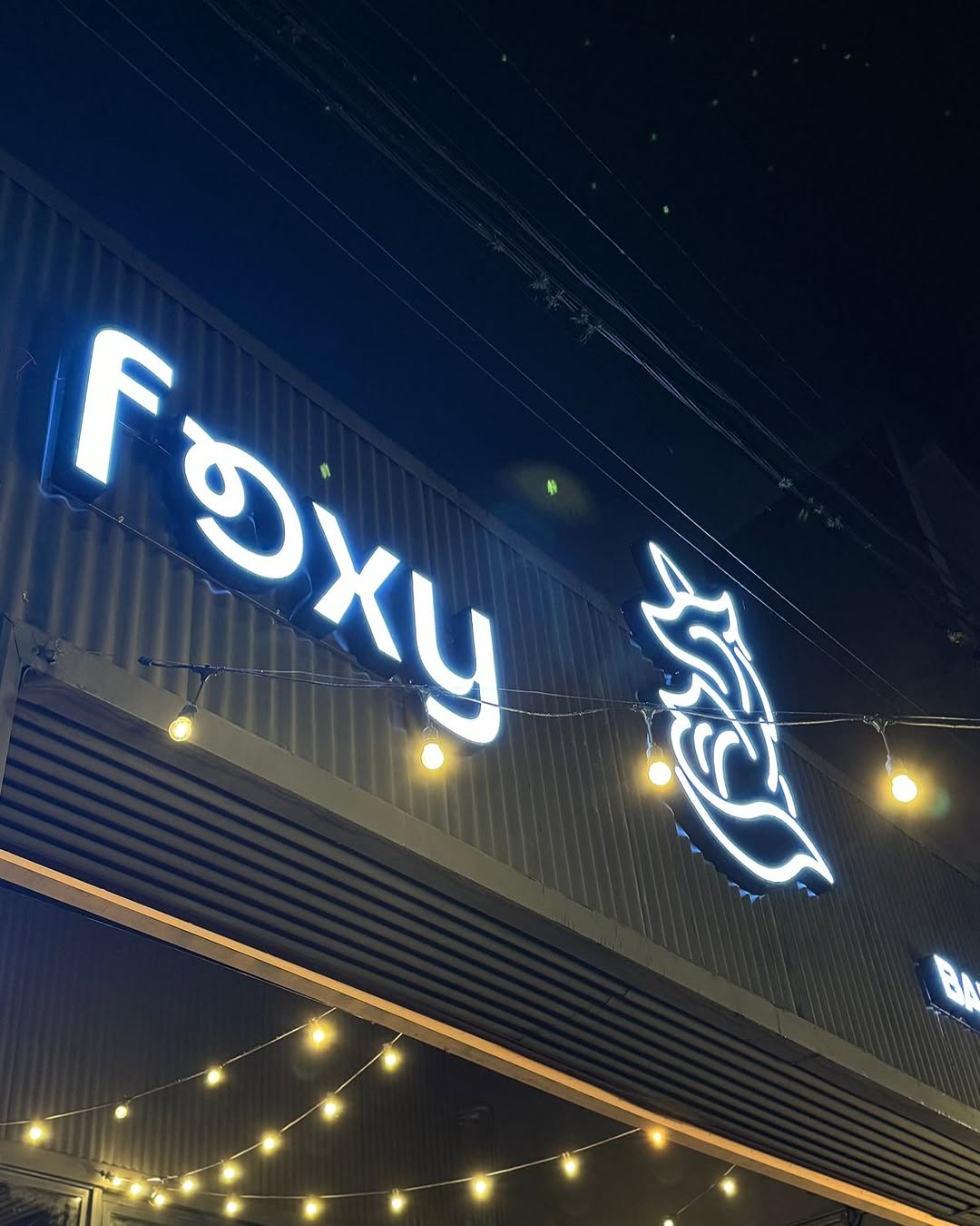 Foxy — trabajo 063